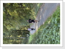 Klicken Sie auf das Bild, um es zu vergr&ouml;&szlig;ern